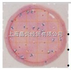 Petrifilm™大肠菌群/大肠杆菌测试片