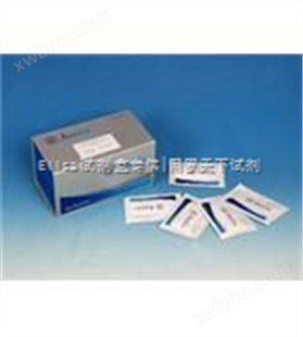 人脂磷壁酸试剂盒,（LTA）人Elisa试剂盒