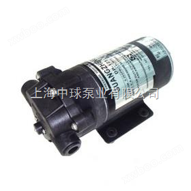 DP-60微型电动隔膜泵|小型隔膜泵价格