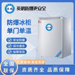 英鹏(GYPEX)防爆单门冰箱单温节能速冻制冷