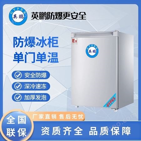 英鹏(GYPEX)防爆单门冰箱单温节能速冻制冷