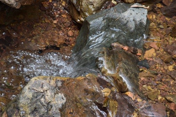 黄山市人大常委会调研农村寄递物流体系建设